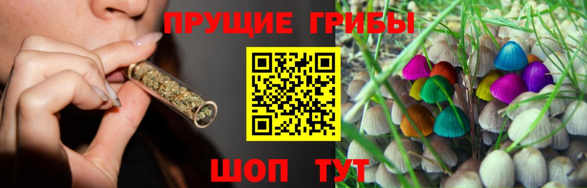 Галлюциногенные грибы Psilocybe Балашиха